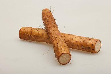 《如龙：极》《如龙：极2》11月13日登陆Switch 2